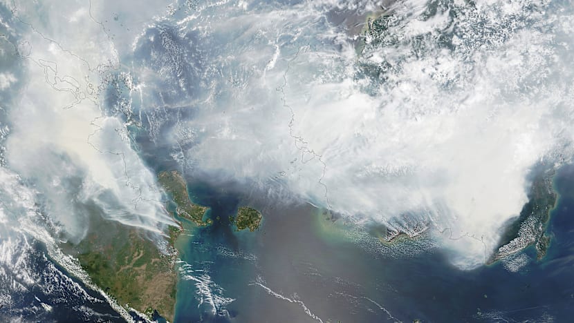 The Big Read: Consumers, NGOs take up fight against haze but it is a long trudge