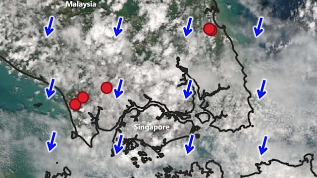 本地部分地区迎“及时雨” 下来潮湿天气料有助改善空气质量
