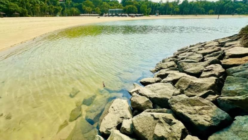Operasi bersihkan tumpahan minyak di pantai selesai 2 bulan lebih awal 