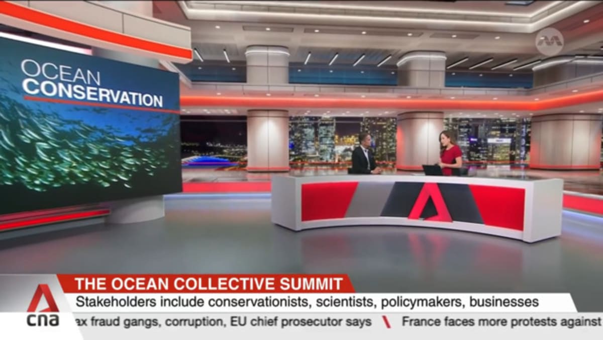 Over 100 stakeholders discuss innovative conservation strategies at Ocean Collective Summit