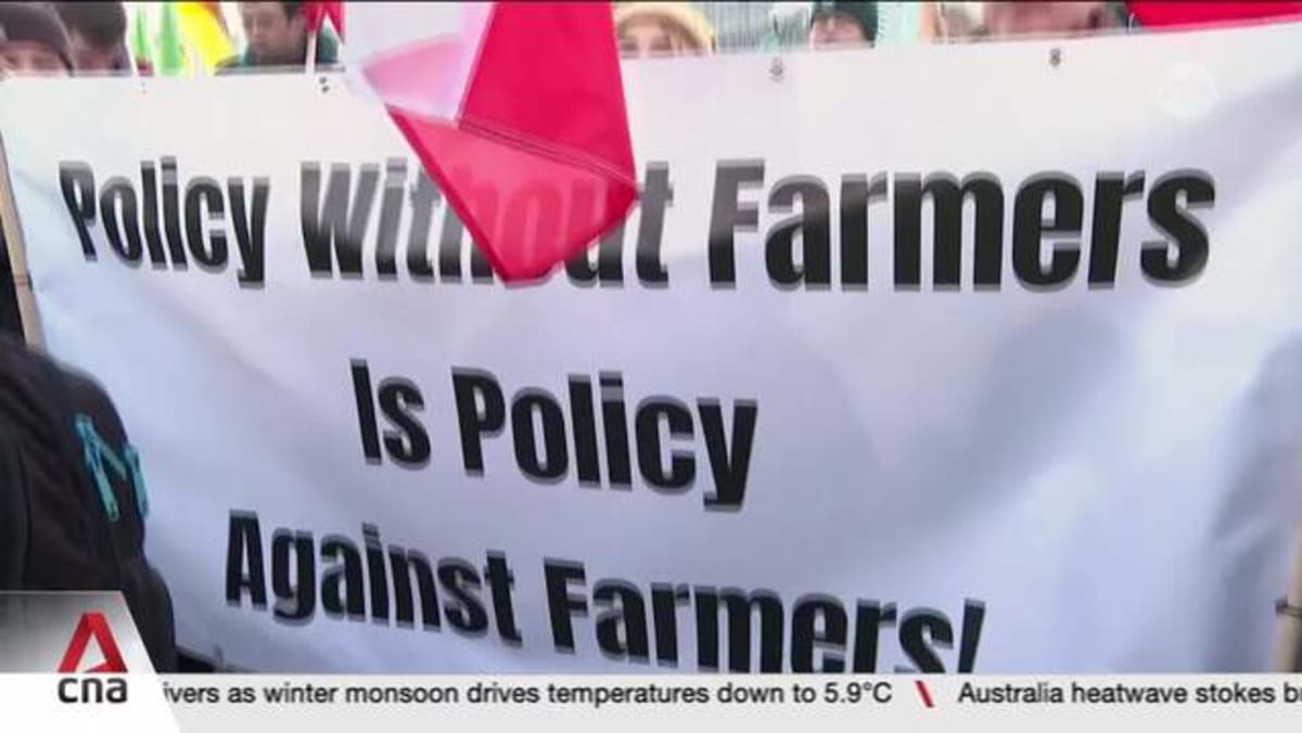 Major EU-MERCOSUR trade deal could be signed despite opposition by European farm lobbies