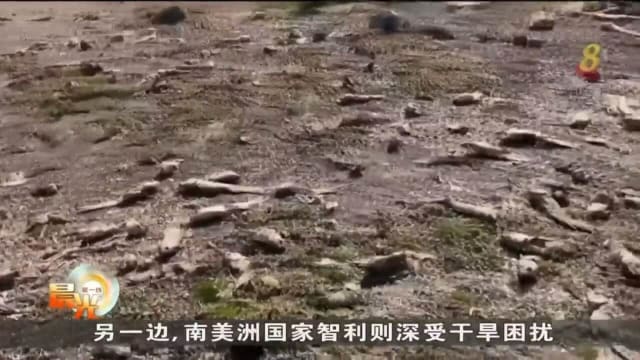 俄罗斯智利遭遇强降雨严重干旱 数百人受困