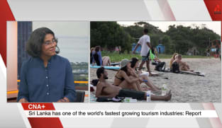What's Coming Up - Insight On Sri Lanka's Tourism Revival And Its Impact On Saving The Economy 