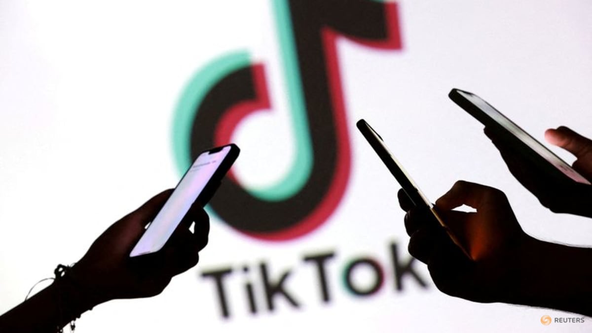 Indonesia suspends TikTok registration over data sharing failures