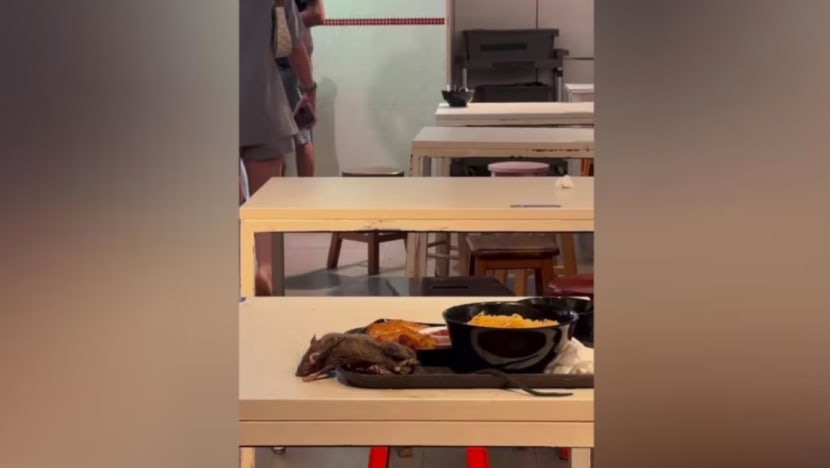 SFA siasat video paparkan tikus terbaring atas dulang makanan di Tangs Market