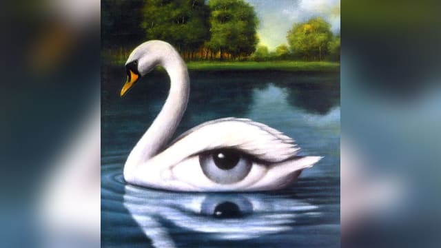 第一眼看到的是天鹅还是眼睛？ 测你命中自带哪种好运气