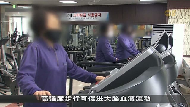 韩国研究：长期高强度行走 可减缓失智症关键蛋白积累
