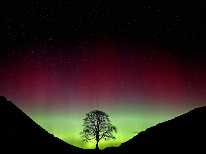 Swaths of Britain, Germany treated to northern lights