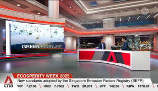SBF chief executive Kok Ping Soon on product-specific carbon emissions data