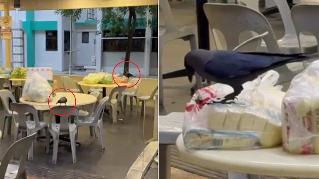 裕廊西食阁食材乱摆原来有前科 口福：已警告业者