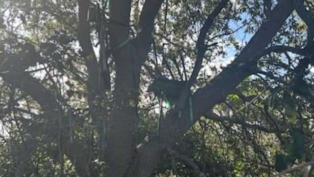 特朗普专机使用区域附近惊现狙击平台 FBI展开调查