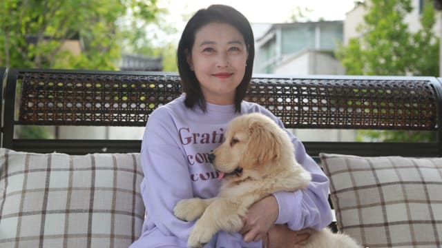 周海媚毛孩全找到新主人了！爱犬现况网看哭