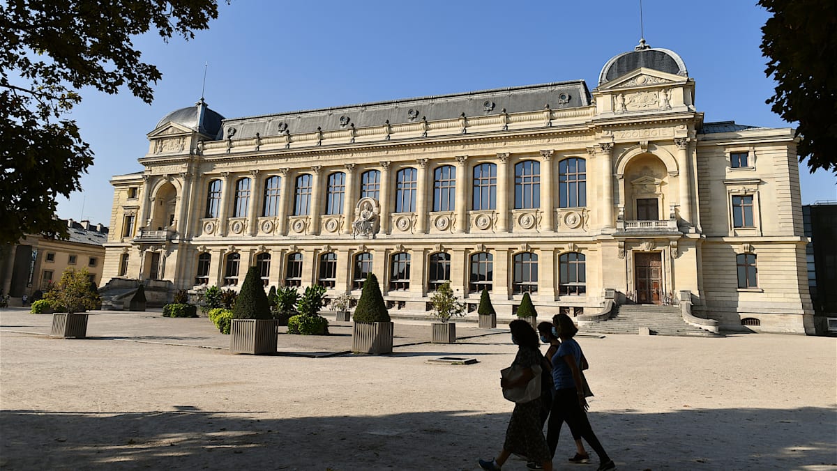 Chinese woman charged over gold theft at Paris Natural History Museum