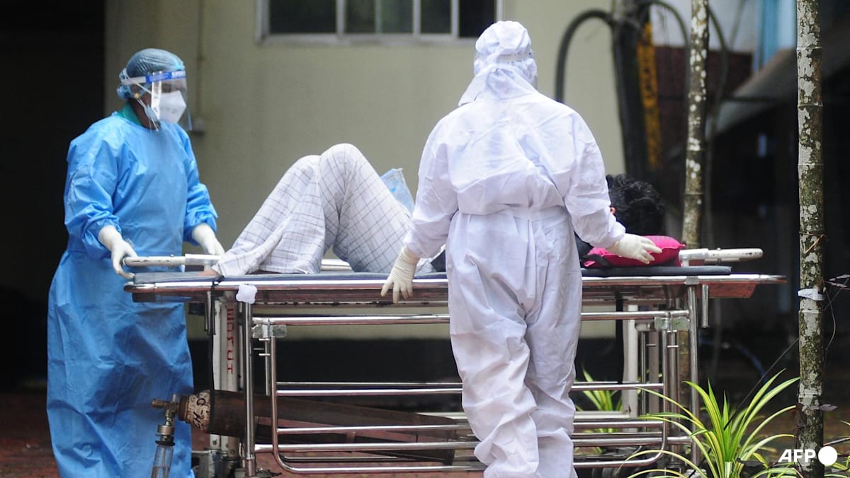 India confirms two Nipah virus cases, but situation contained