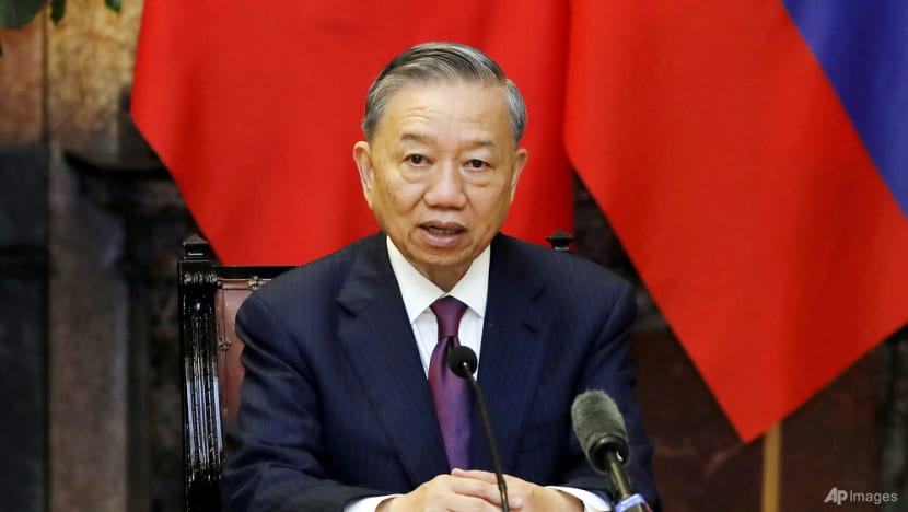 Vietnam President Lam takes on duties of party chief as Trong focuses on health Vietnam President Lam takes on duties of party chief as Trong focuses on health