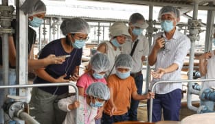 A guide explaining the soy sauce production process to participants at the Tai Hua soy sauce factory on July 26, 2024. 