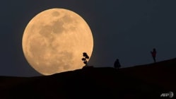 Related article image
