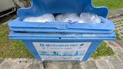 Related article image