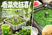 Haidilao Singapore’s Coriander-Themed Menu Stars The Herb In Hotpot Broth, Cocktails & More