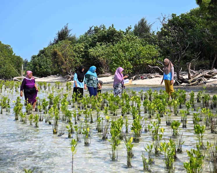 ‘This is our home’: The women fighting a company’s land claim on Indonesia’s Pari Island ‘This is our home’: The women fighting a company’s land claim on Indonesia’s Pari Island