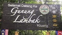 Related article image