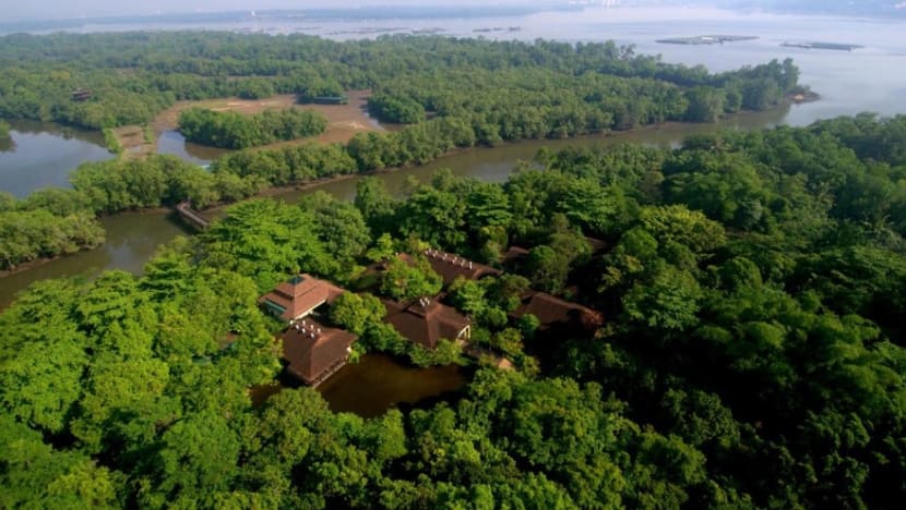 400 hectare nature park network around Sungei Buloh Wetland Reserve to be built by 2022