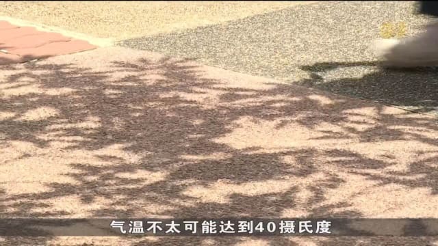 环境局：本地未来几周气温不太可能达到40摄氏度