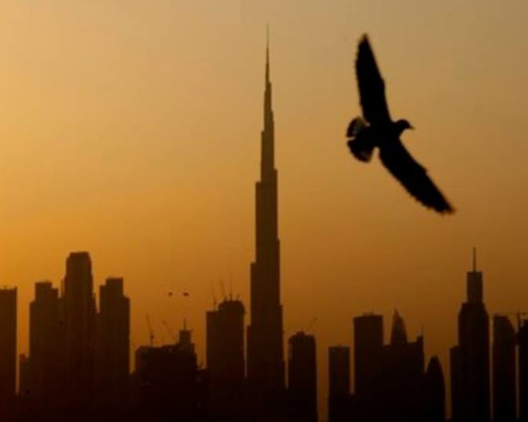 UAE rolls out plan to invest in economy, liberalise laws for expatriates