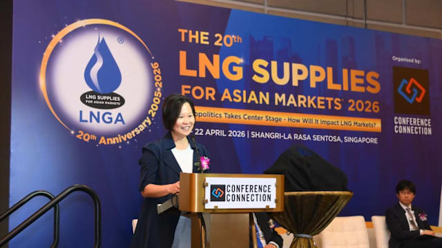 颜晓芳：我国将继续加强能源安全 但无法单打独斗