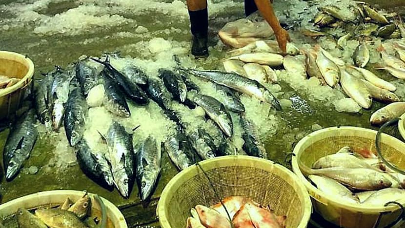 Jurong Fishery Port workers mingling and not wearing masks believed to have caused Covid-19 outbreak