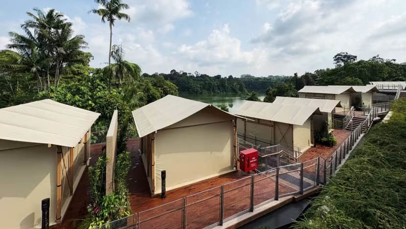 What To Expect At Colugo Camp, Mandai Wildlife Reserve’s New Luxury Camping Space With Buffets & Guided Tours What To Expect At Colugo Camp, Mandai Wildlife Reserve’s New Luxury Camping Space With Buffets & Guided Tours