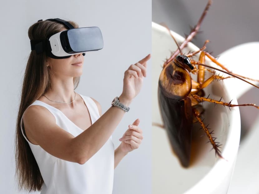 Can virtual reality therapy help you get over your fear of cockroaches and other phobias? We tried it out
