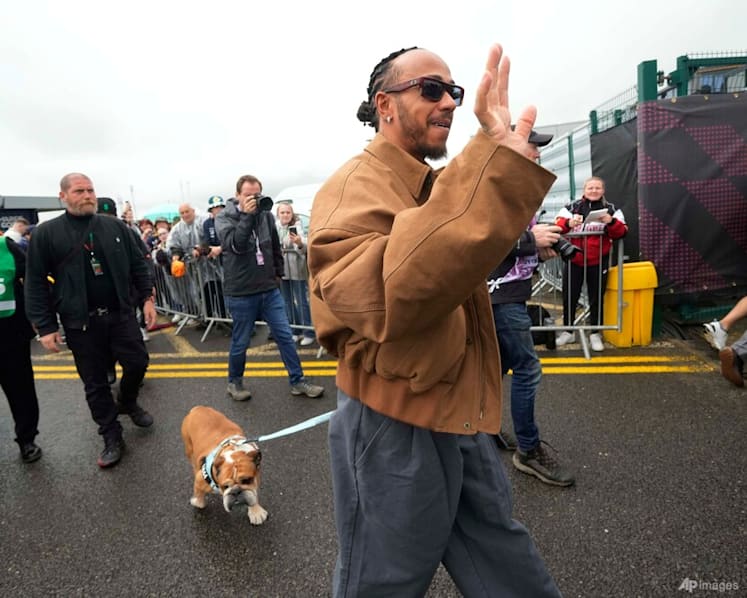 Lewis Hamilton says the death of his dog Roscoe is 'one of the most painful experiences'