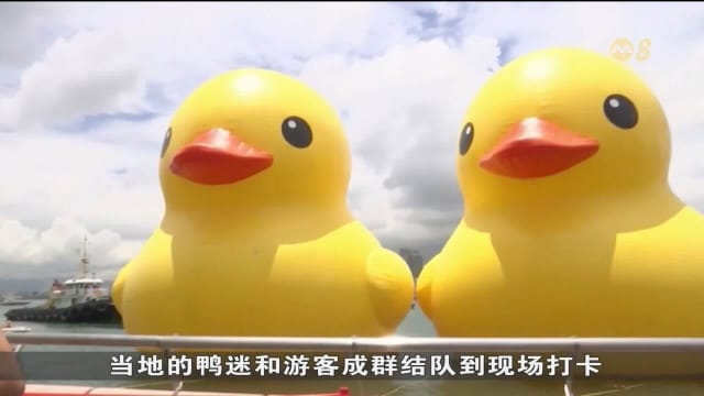 阔别十年 香港维多利亚港双鸭归来