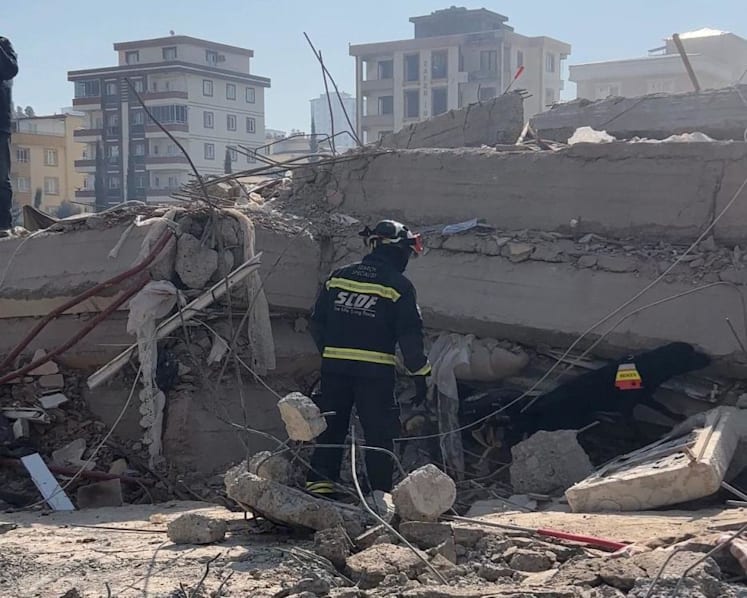 Sniffer dogs from around the world playing a crucial role in Türkiye quake efforts