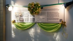 Related article image