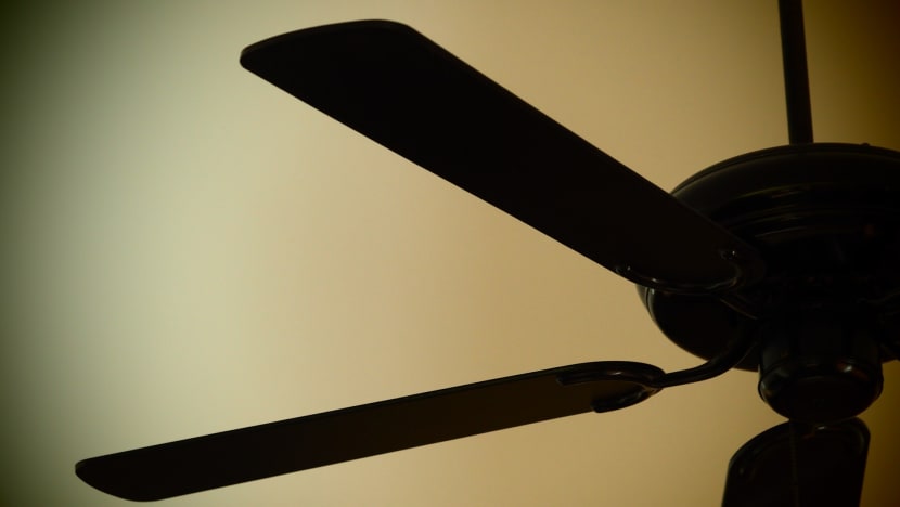 Authorities issue safety advisory on 17 models of Elmark ceiling fans, products being recalled
