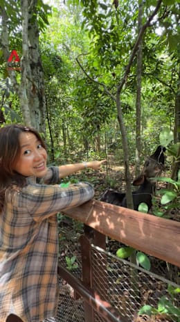 Mandai’s new Crocodile Lodge lets you sleep near wildlife