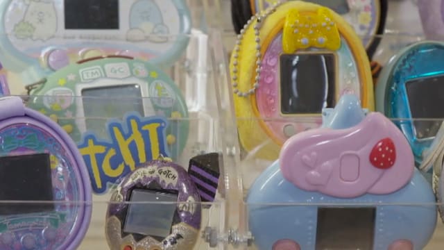 晨光|玩物壮志：本地电子鸡达人 玩不腻90年代经典游戏