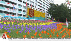Singaporeans get creative in making community artworks for SG60