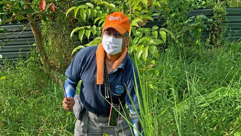 Budget 2021: His solo effort to clean up mangroves has grown into 100 volunteers reforesting Kranji Coastal Nature Park