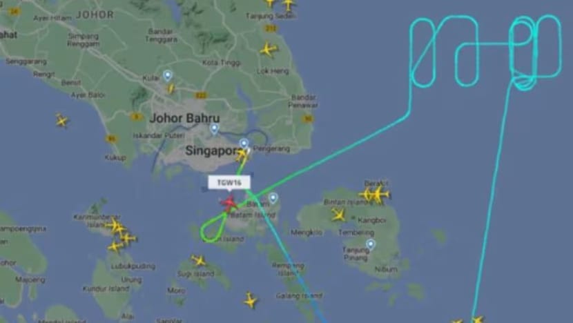 6 months' jail for man who made false bomb threat onboard Scoot flight from Singapore to Perth