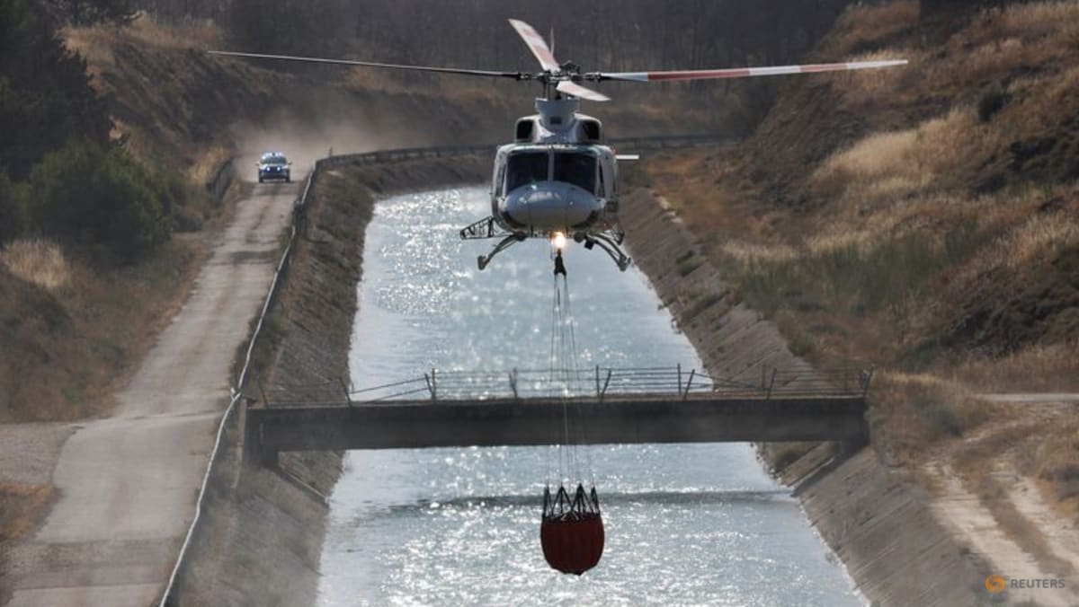 Northeast Spain wildfire destroys over 12,000 hectares: Regional authorities