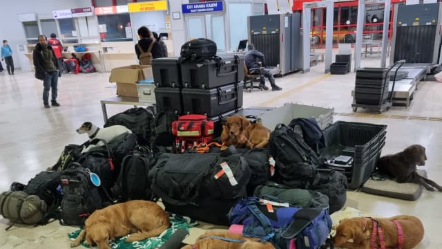 土叙大地震营救阶段接近尾声 搜救犬累坏