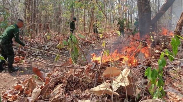 泰国北部侦测到逾2000个火点 多数于森林保护区内