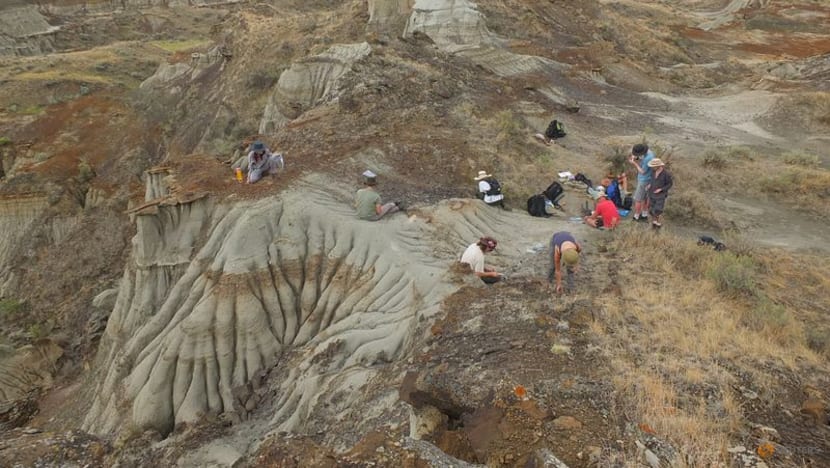 Fossil reveals Cretaceous drama of a croc attack on a flying reptile