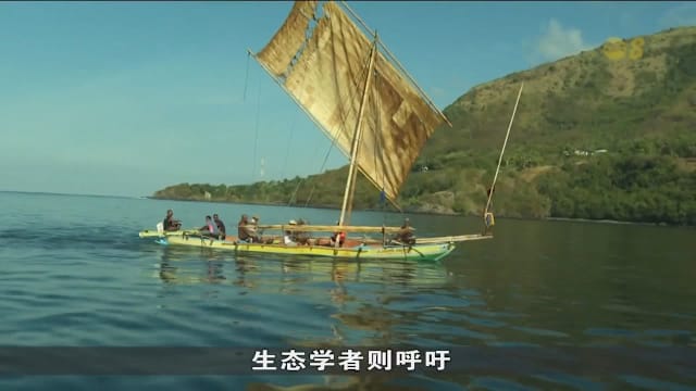 印尼村落靠捕捉鲸鱼充饥 不寻求商业牟利