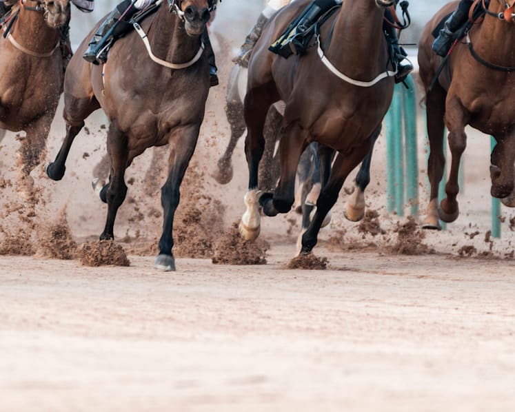 Man on remission for drug offence gets caught taking bets for Hong Kong horse race, goes back to jail