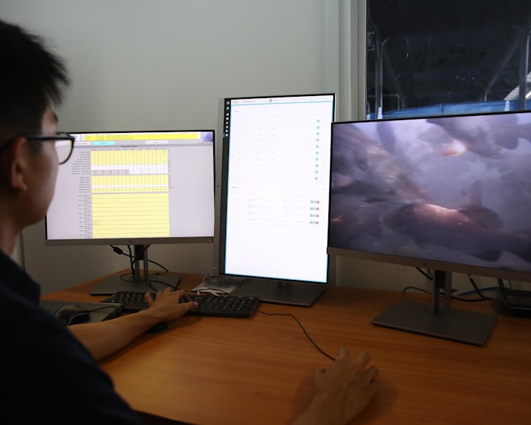 AI keeps an eye on barramundi at ‘smart’ floating fish farm off Pasir Ris Coast