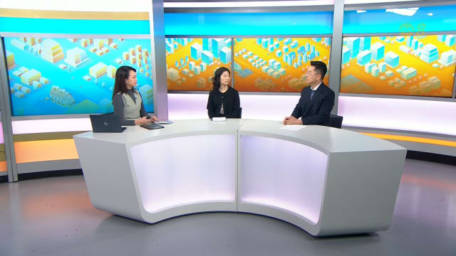 【GE2025】狮城有约 | 评论员：小政党遭遇身份危机 执政党榜鹅获胜关键在于颜金勇